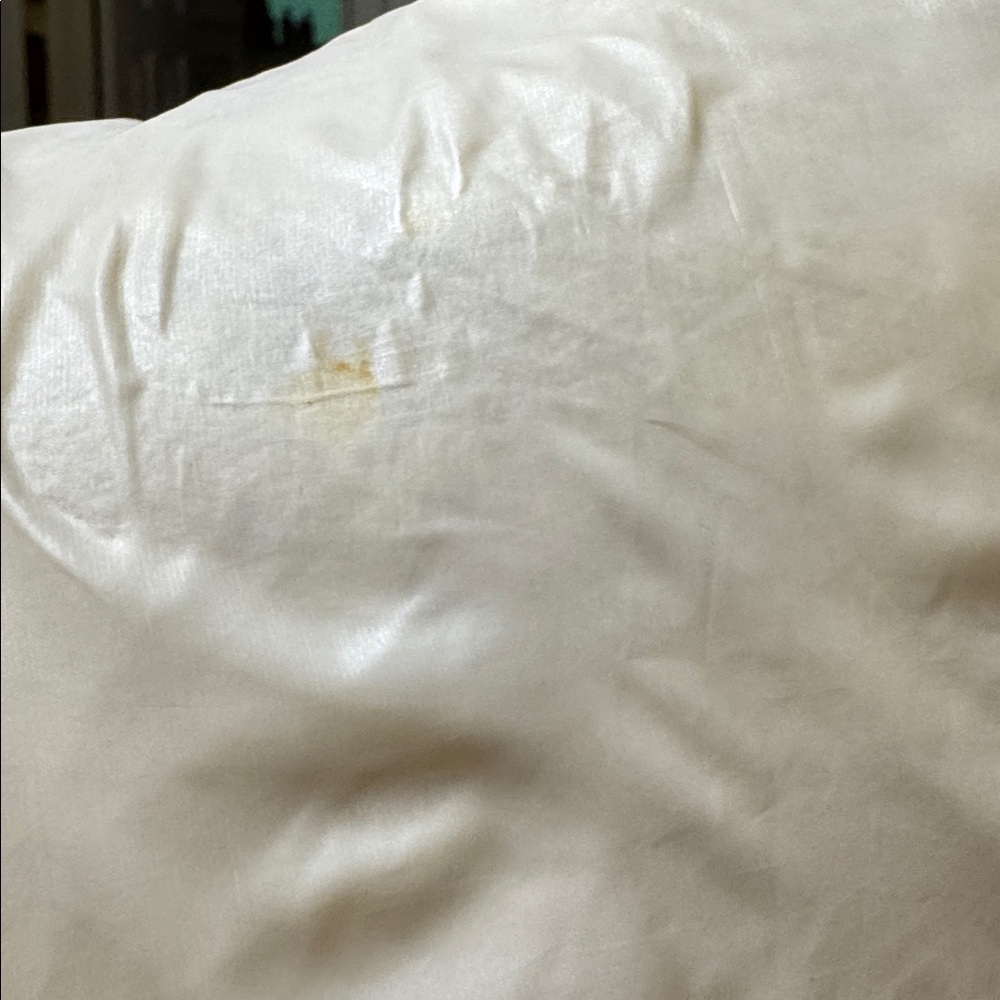 Puffer Jacket - Picture 5 of 5